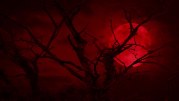 老枯树后面可怕的红月亮