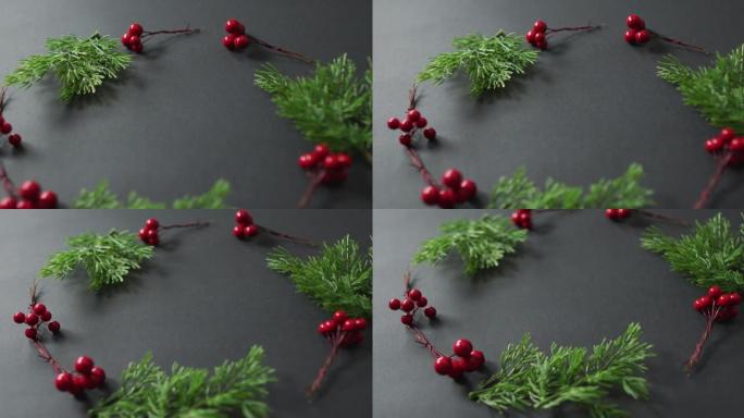 黑色背景上带有红色浆果和复制空间的圣诞装饰小枝视频
