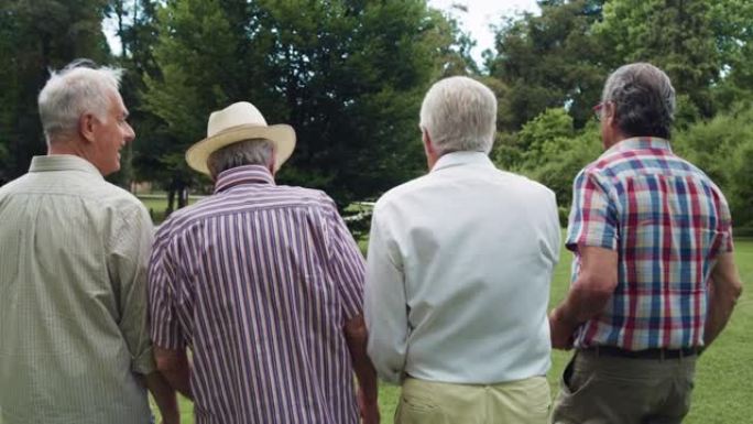 背面视图: 开朗的资深朋友玩得开心，一起在公园享受夏天的好天气。一群健康的老年人活跃，走路，说话和笑