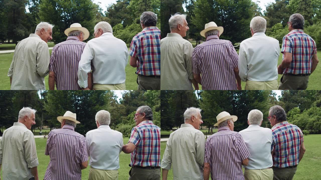 背面视图: 开朗的资深朋友玩得开心，一起在公园享受夏天的好天气。一群健康的老年人活跃，走路，说话和笑