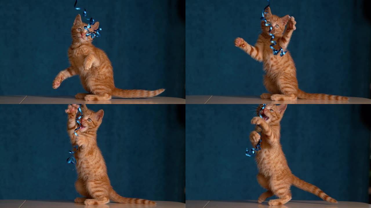 特写: 姜色虎斑猫小猫被主人用washi胶带取笑。