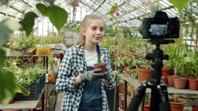 可爱的女孩视频记录器在温室里拿着植物录制视频的慢动作显示像手势