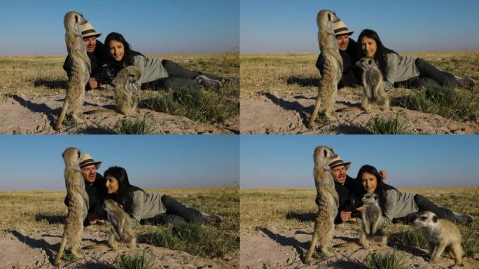 有趣可爱的动物。一名男女游客拍摄并与一小群猫鼬互动的特写肖像