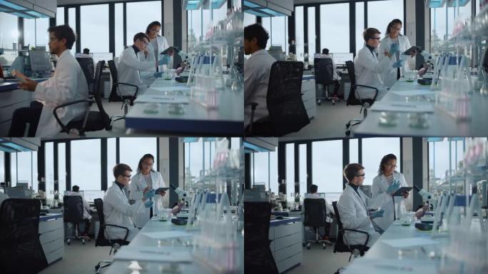 现代医学研究实验室: 两位年轻科学家的肖像使用移液器，数字平板电脑，进行样品分析，交谈。多元化的专家