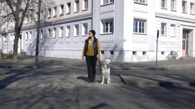 女人和她的白色拉布拉多犬在人行横道上等待车辆通过，然后过马路
