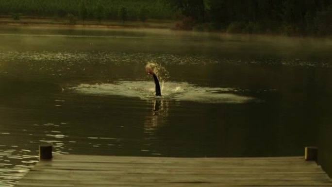 男子在湖中游泳冬泳湖中游泳