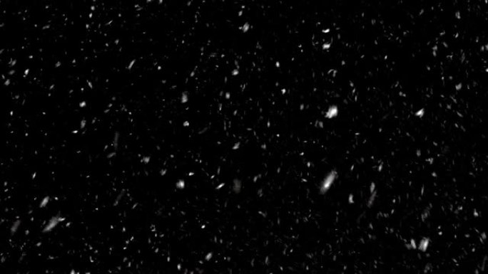 黑色背景上的暴风雪。真正的高质量雪花-不是3D图形。晚上下雪。自然冬季背景。4K, UHD