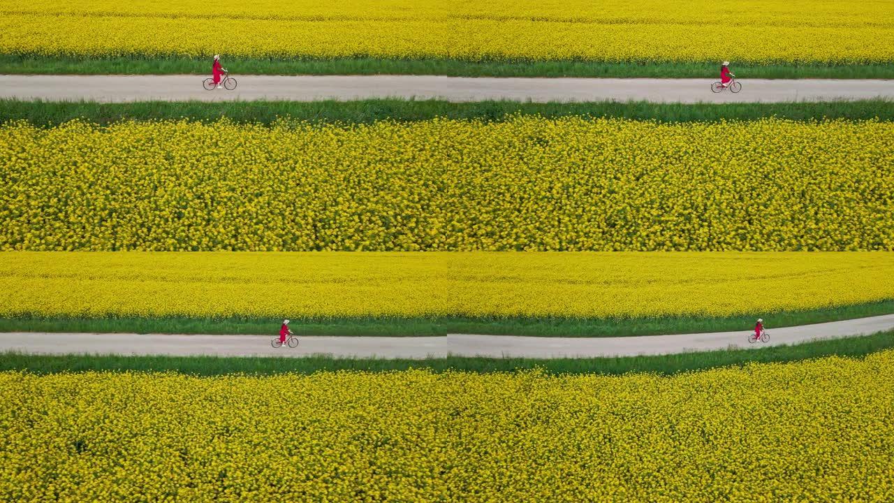 无人机跟踪拍摄到一位无法辨认的黑发女性骑着自行车穿过一片郁郁葱葱的黄色金鱼花