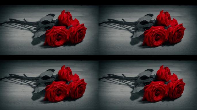 红玫瑰放在地上黑白相间