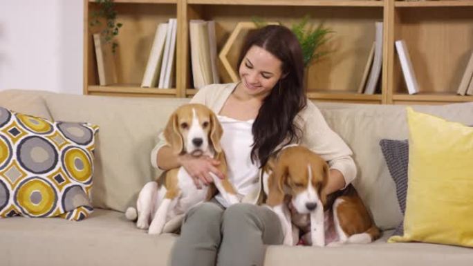 快乐美丽的女人和两只可爱的狗在沙发上摆姿势