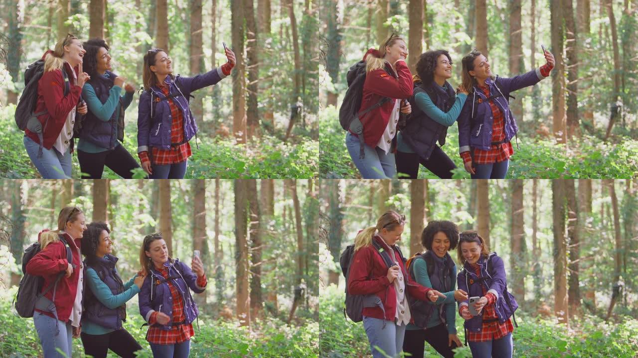女性朋友在树林中徒步旅行，在智能手机上摆姿势自拍-慢动作拍摄