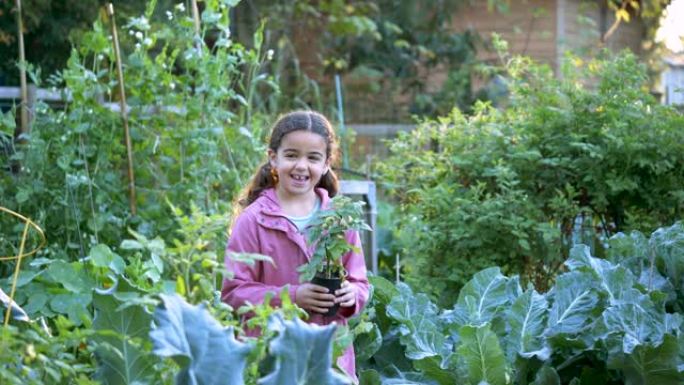 西班牙裔女孩在社区花园中拿着植物