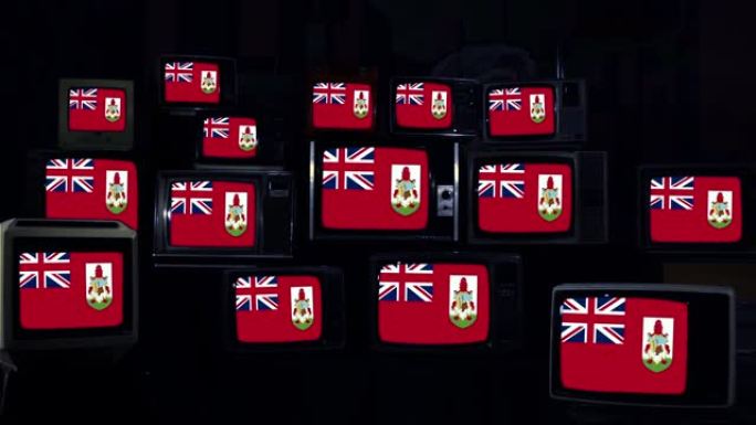 复古电视上的百慕大国旗。