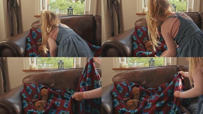 4k视频片段，一个可爱的小女孩在家里用毯子盖住了沉睡的脊背小狗