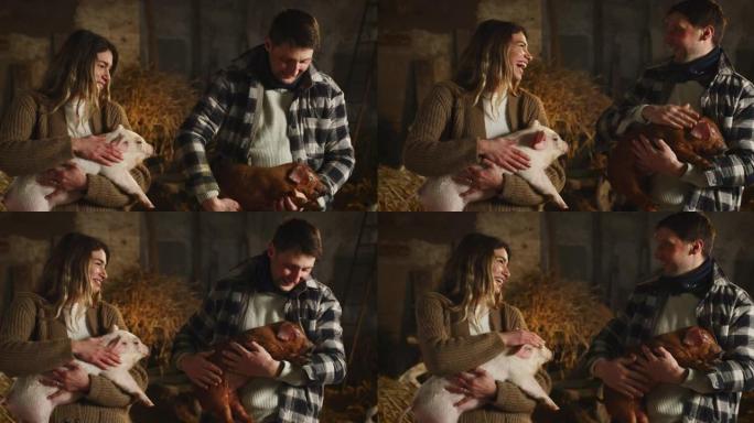 电影拍摄的年轻快乐骄傲的农民用爱和关怀爱抚生态生长的新生仔猪，用于农村养猪场猪圈的生物真品产业。