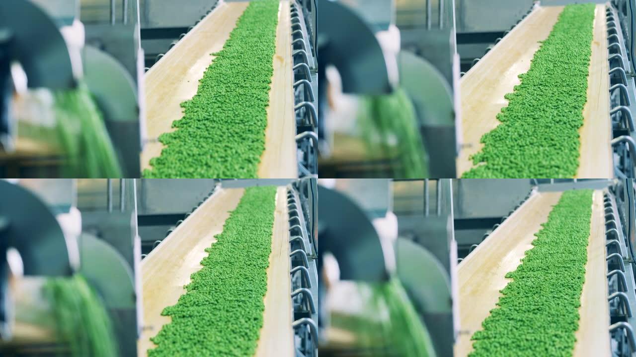 新鲜豌豆的机械运输