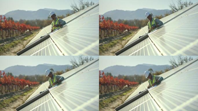 太阳能，农场和电力与一个黑人工程师测量太阳能电池板的可再生能源。在农业行业工作的男性技术员的自然，创