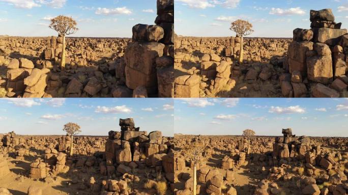 非洲阳光明媚的纳米比亚沙漠中的WS颤抖的树和岩石