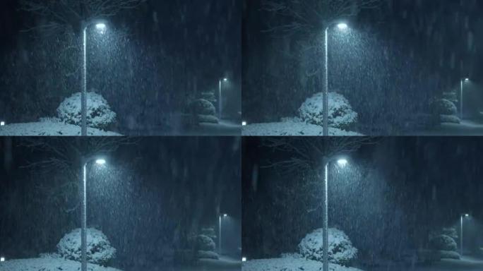 夜晚飘着街灯的雪冰雕雪花飘