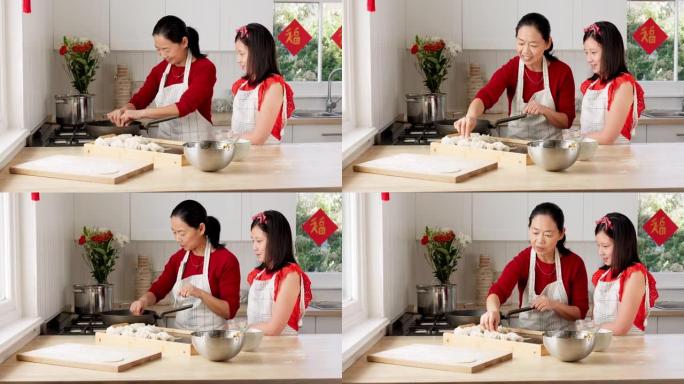 烹饪，学习和亚洲与母亲和女孩在厨房里庆祝中国农历新年。食物，健康和文化与妈妈和孩子在家庭中进行饺子活