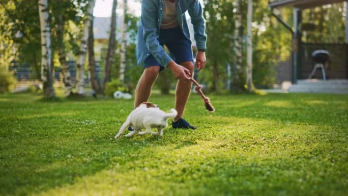 男人和他的杰克罗素梗狗在户外玩耍。他用他最喜欢的玩具抚摸和戏弄他的小狗。田园诗般的避暑别墅。慢动作