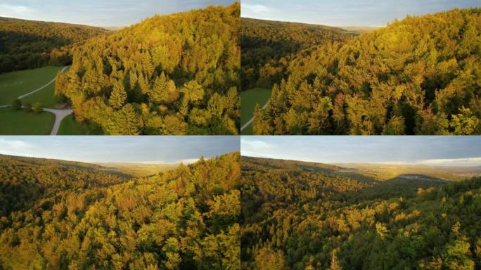 空中: 树木繁茂的山丘上方的景色，揭示了广阔的森林乡村和村庄
