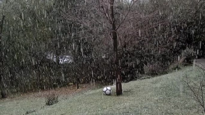 雪花在暴风雪中飘落在花园里，足球被遗忘在绿草丛中。