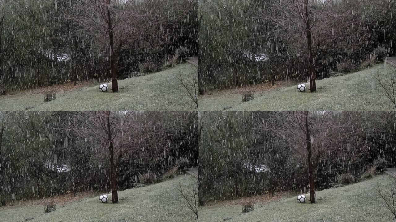 雪花在暴风雪中飘落在花园里，足球被遗忘在绿草丛中。