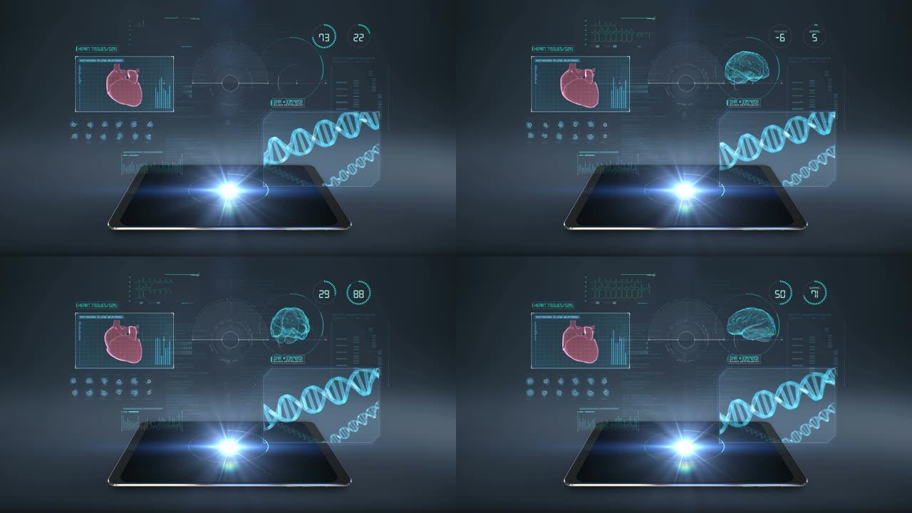 在智能平板电脑，平板电脑，x射线光的用户界面扫描健康设备。4k。