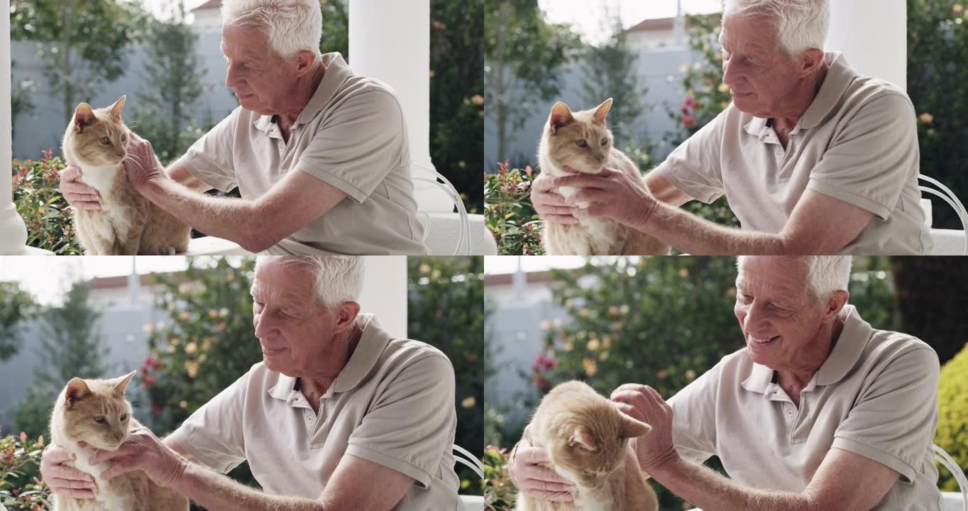 4k视频片段，一名高级男子坐在家里的门廊上抚摸他的猫