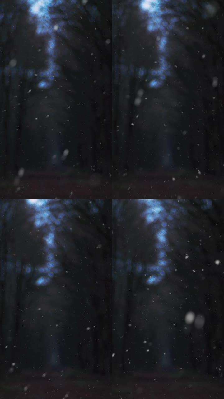 垂直拍摄雪花落在森林里