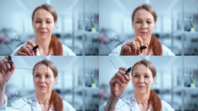 一位女科学家在实验室的玻璃墙上绘制分子结构的照片