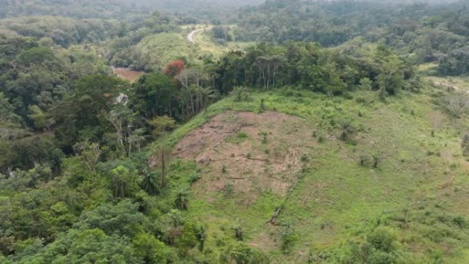 空中。在热带雨林中沿着河流砍伐和燃烧自给农业。气候变化。森林砍伐
