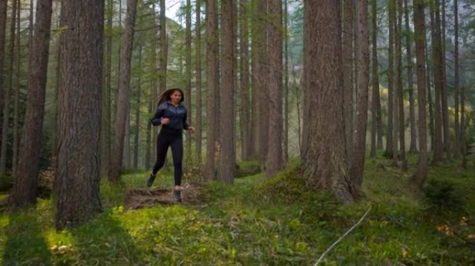 以健康为导向的女性在阳光普照的森林中户外慢跑