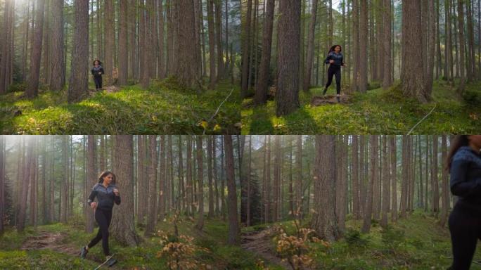 以健康为导向的女性在阳光普照的森林中户外慢跑