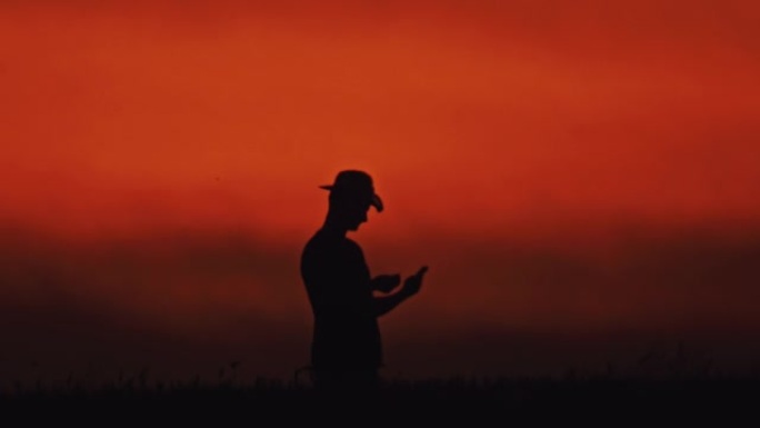SLO MO Farmer在橙色天空下检查小麦种子时使用电话