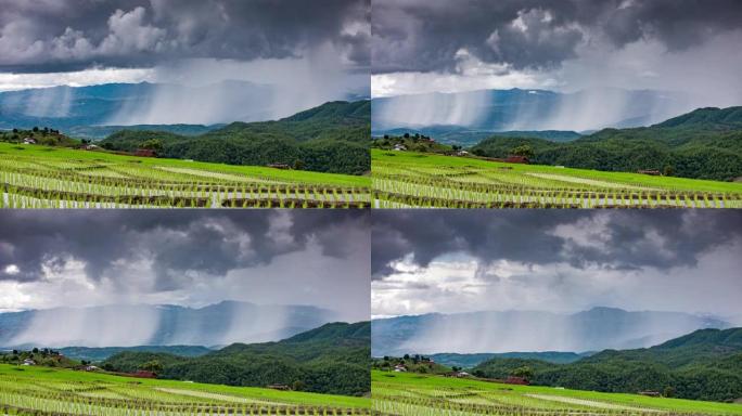 雨林山上下雨的时间流逝