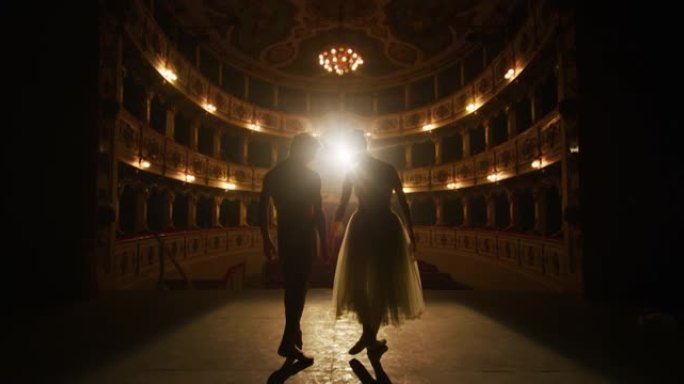 年轻的古典芭蕾舞演员夫妇的电影镜头将在经典的剧院舞台上放映，并带有戏剧性的灯光，以便在演出开始前一起