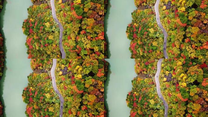 日本河流附近秋季森林变色道路的空中俯视图，旅行概念