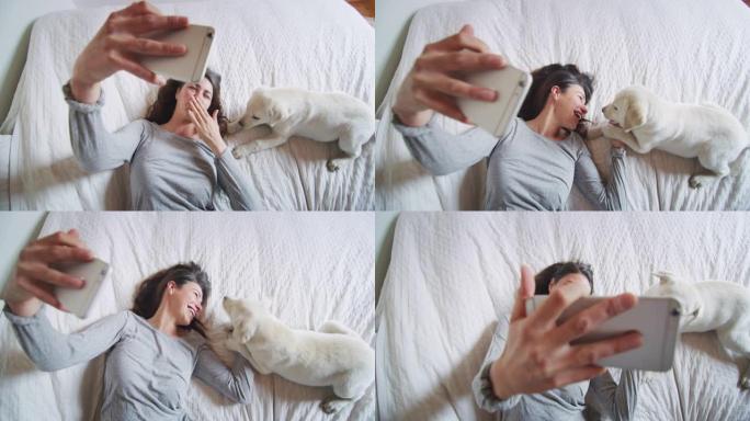 一个年轻幸福的女人的真实照片正在与她的拉布拉多犬小狗躺在床上，向男友进行自拍或视频通话