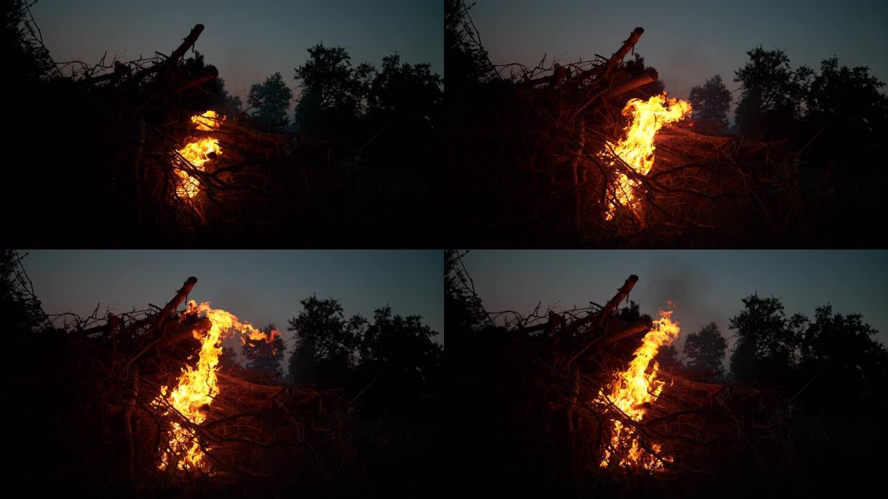 特写: 炽热的篝火在漆黑的夜晚吞没了柴火。
