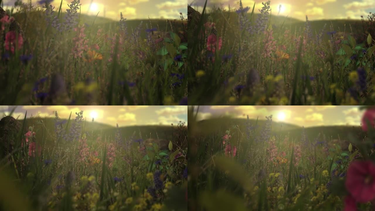 日落动画中的野花