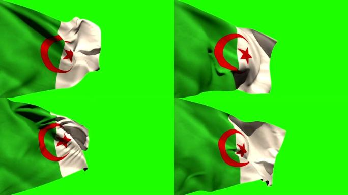 大阿尔及利亚国旗吹响