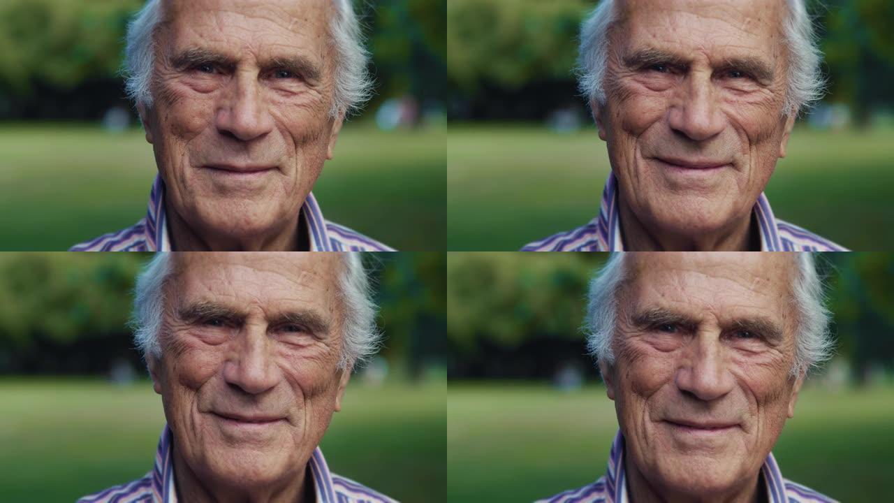 欢快的老人在绿色公园里看着相机微笑的肖像。积极积极的老年人享受夏天的天气，身体健康，生活愉快。退休男