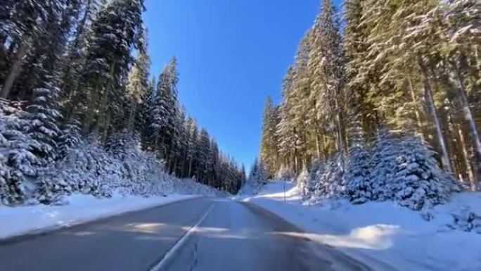 穿越雪白森林的雪乡公路上的驾驶视点