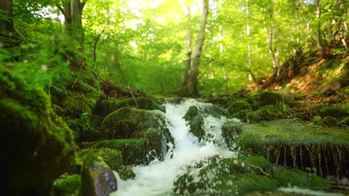 森林里的河流和清澈的水。快速的水流过长满苔藓的石头。慢动作，HDR