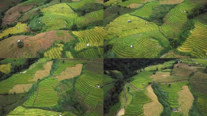 泰国北部农业梯田的空中拍摄