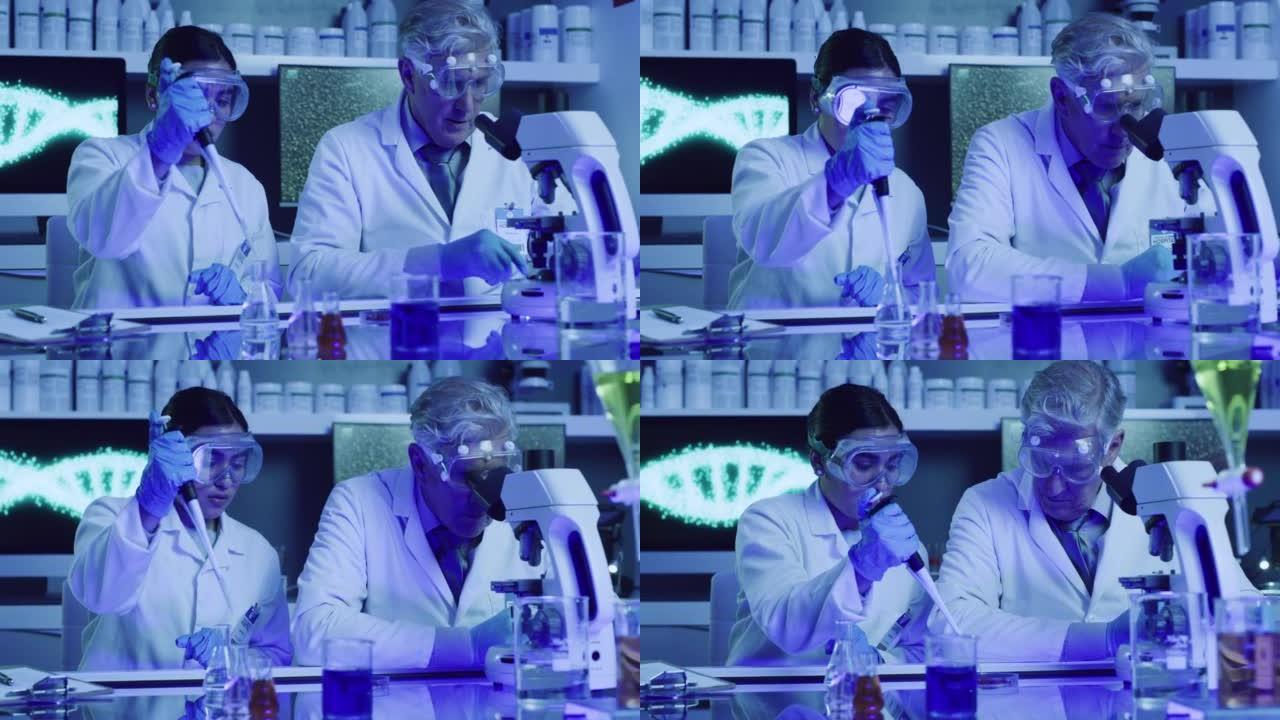 两名实验室科学家在紫外线实验室用培养皿和移液器测试酚酞的化学反应。认真的医生戴着防护眼镜，进行碱性存