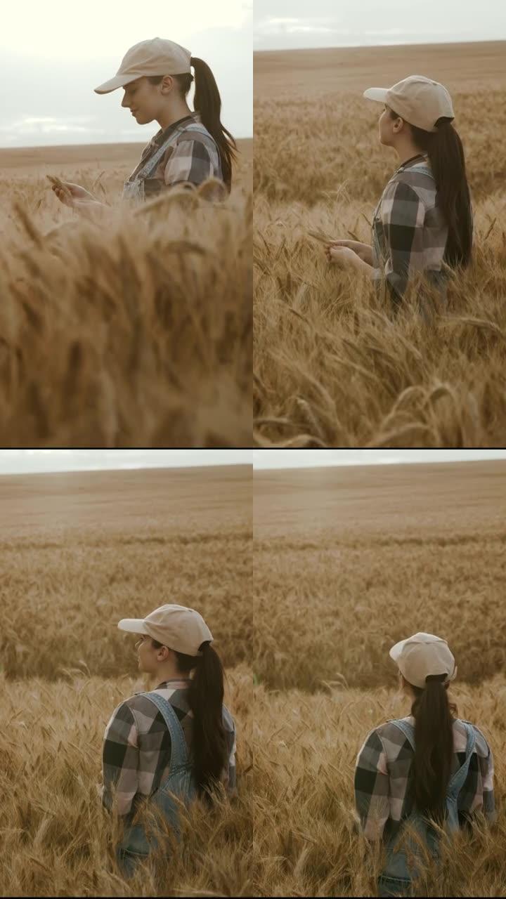 SLO MO年轻的女农民站在成熟的麦田中间