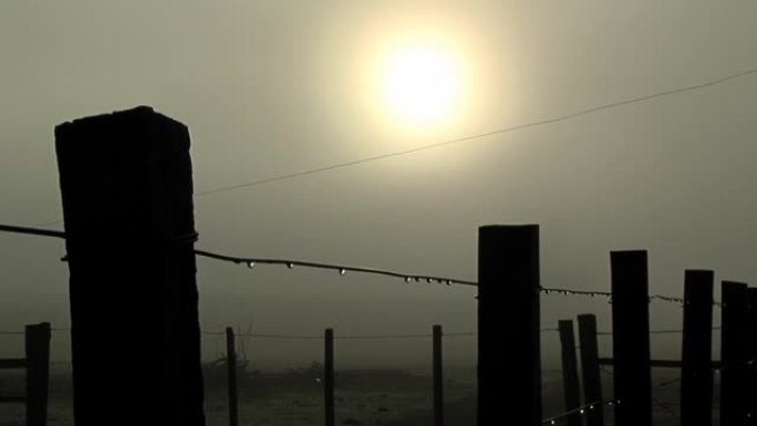 用铁丝网制成的栅栏覆盖着露水和阳光，试图刺穿覆盖乡村的雾气。特写。